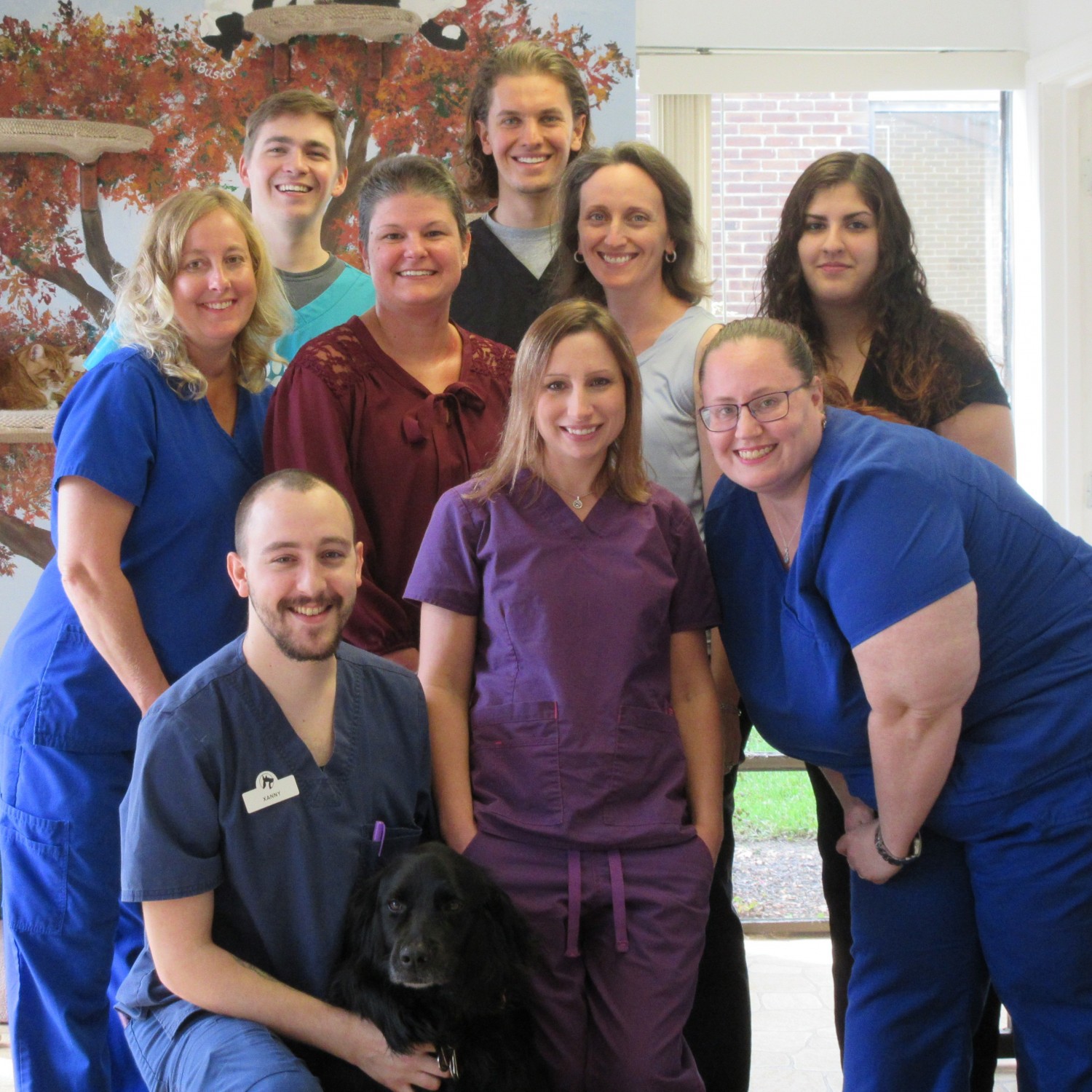 Burke Forest Veterinary Clinic Springfield Friendly Pet Nurses and Staff